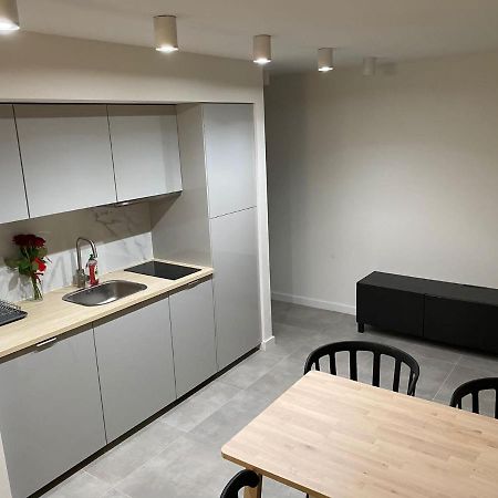 V3 Korfantego 20 Apartman Katowice Kültér fotó